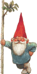 Gnome