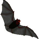 bat